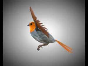 フィンチ PBR 鳥の装備の低ポリ 3Dモデル