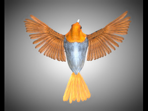 finch pbr bird rigged low poly Model 3D