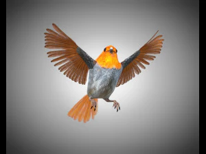 フィンチ PBR 鳥の装備の低ポリ 3Dモデル