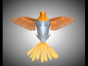 finch pbr bird rigged low poly Model 3D