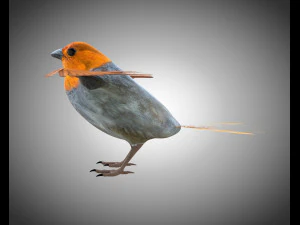 フィンチ PBR 鳥の装備の低ポリ 3Dモデル