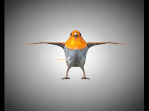 フィンチ PBR 鳥の装備の低ポリ 3Dモデル