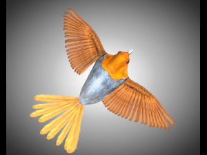 finch pbr bird rigged low poly Model 3D