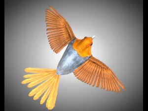 フィンチ PBR 鳥の装備の低ポリ 3Dモデル
