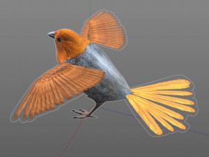 finch pbr bird rigged low poly Model 3D