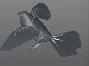 finch pbr bird rigged low poly Model 3D