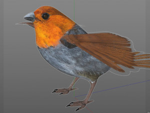 finch pbr bird rigged low poly Model 3D
