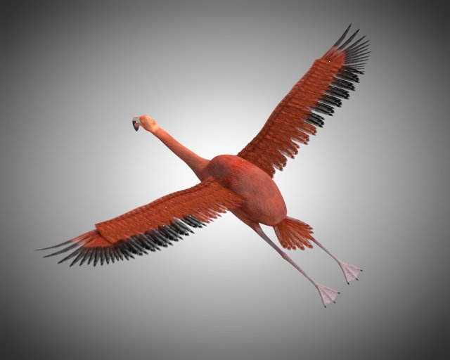 flamingo pbr bird rigged low poly 3D Model .c4d .max .obj .3ds .fbx .stl .blend 