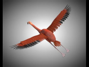 flamingo pbr bird rigged low poly 3D Model