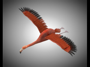 flamingo pbr bird rigged low poly 3D Model