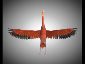 flamingo pbr bird rigged low poly 3D Model