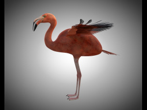flamingo pbr bird rigged low poly 3D Model