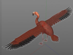 flamingo pbr bird rigged low poly 3D Model