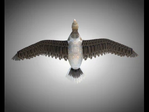 ganso pbr p&aacute;ssaro equipado baixo poli Modelo 3D