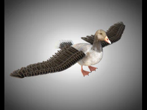 ganso pbr p&aacute;ssaro equipado baixo poli Modelo 3D