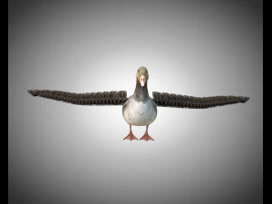 ganso pbr p&aacute;ssaro equipado baixo poli Modelo 3D