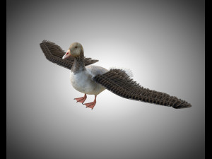 goose pbr bird rigged low poly 3D Model