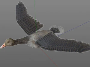 ganso pbr p&aacute;ssaro equipado baixo poli Modelo 3D