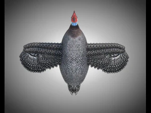 guinea fowl pbr bird rigged low poly 3D Model