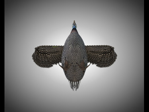 guinea fowl pbr bird rigged low poly Modello 3D