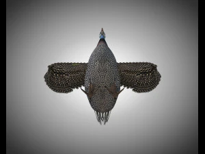 guinea fowl pbr bird rigged low poly 3D Model