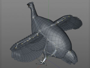 guinea fowl pbr bird rigged low poly Modello 3D