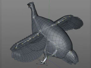 guinea fowl pbr bird rigged low poly 3D Model