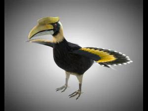 horn bill pbr bird rigged low poly 3D Model
