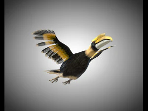 horn bill pbr bird rigged low poly 3D Model