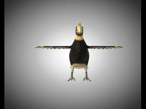 horn bill pbr bird rigged low poly 3D Model
