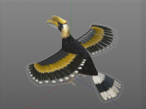horn bill pbr bird rigged low poly 3D 모델