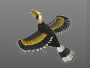 horn bill pbr bird rigged low poly 3D Model