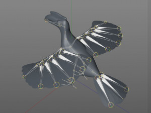 horn bill pbr bird rigged low poly 3D 모델