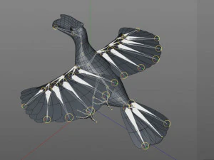 horn bill pbr bird rigged low poly 3D Model