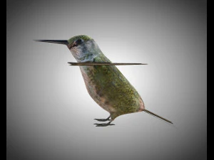 humming bird pbr rigged low poly 3D Model