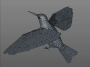 humming bird pbr rigged low poly 3D Model