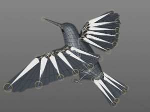 humming bird pbr rigged low poly 3D 模型