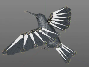 humming bird pbr rigged low poly 3D Model
