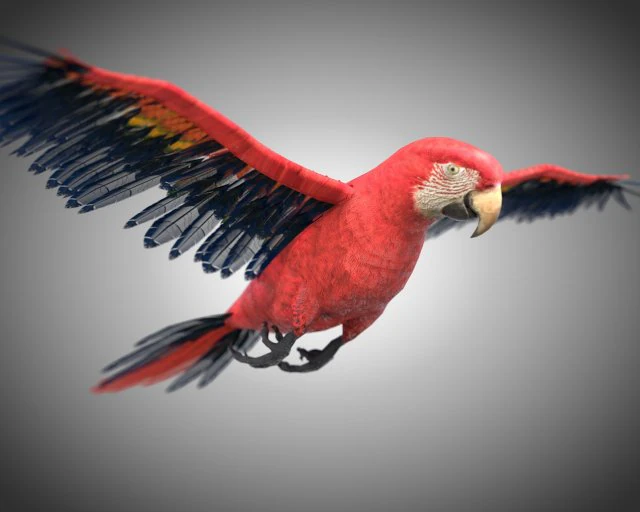 macaw parrot bird pbr rigged low poly 3D Model .c4d .max .obj .3ds .fbx .stl .blend 