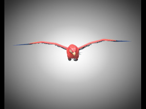 macaw parrot bird pbr rigged low poly Modello 3D