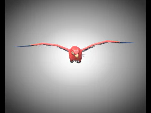 macaw parrot bird pbr rigged low poly 3D Model