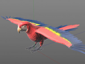macaw parrot bird pbr rigged low poly Modello 3D