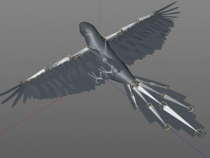 macaw parrot bird pbr rigged low poly Modello 3D