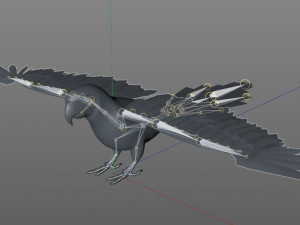 macaw parrot bird pbr rigged low poly Modello 3D