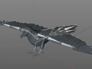 macaw parrot bird pbr rigged low poly 3D Model