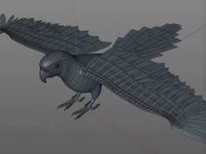 macaw parrot bird pbr rigged low poly Modello 3D