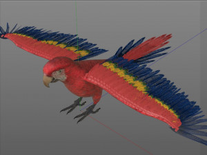 macaw parrot bird pbr rigged low poly Modello 3D