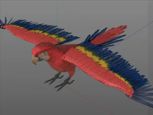 macaw parrot bird pbr rigged low poly 3D Model