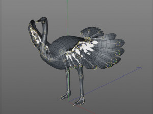 ostrich bird pbr rigged low poly Modèle 3D