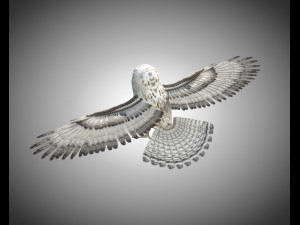 owl bird pbr rigged low poly Modello 3D
